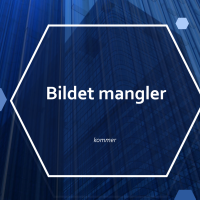 Bildet mangler