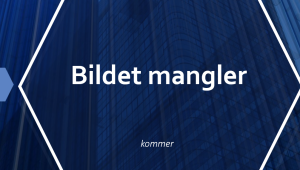 Bildet mangler